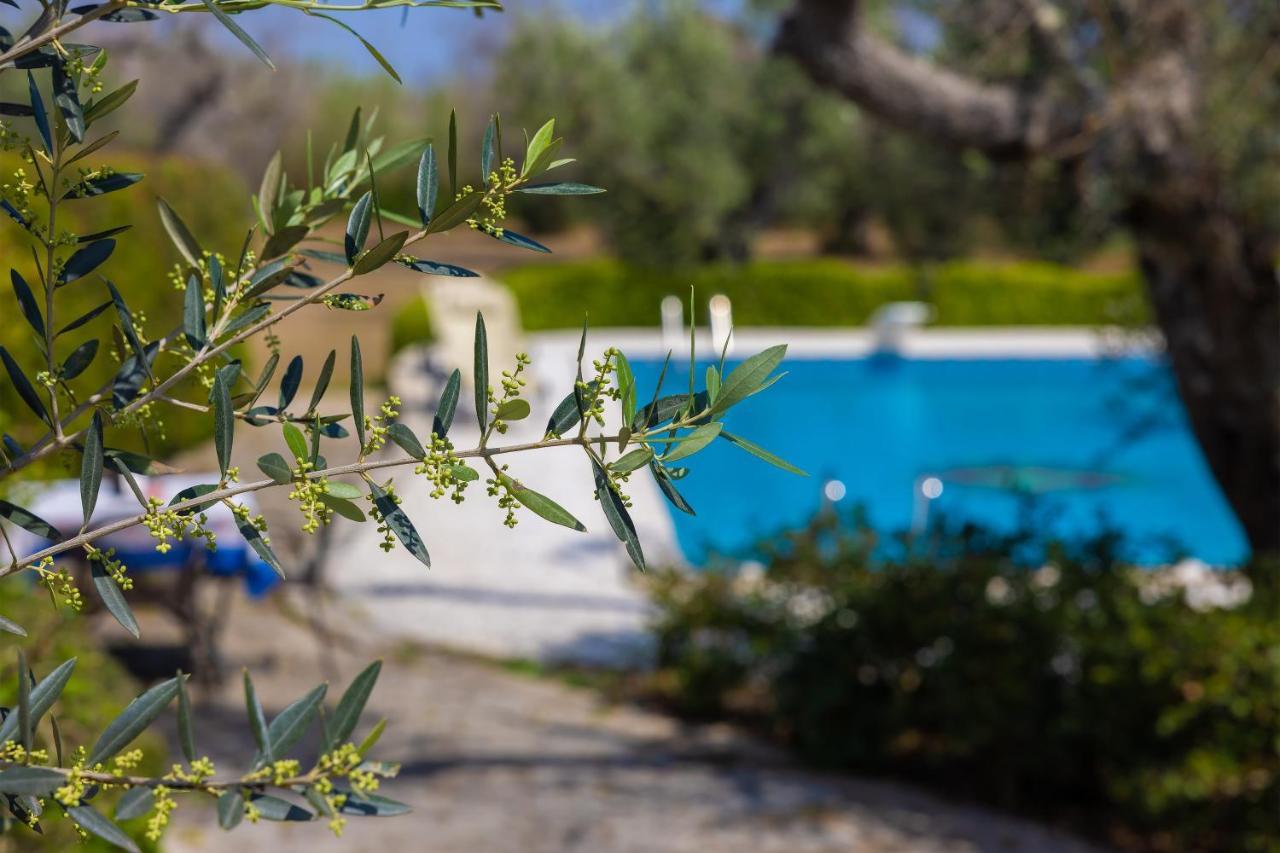 مبيت وإفطار أودجانو لا كييزا Casa Ulmi Con Piscina المظهر الخارجي الصورة